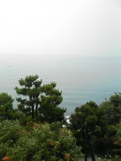 image/cafe-yuki-2006-06-30T02:08:53-1.jpg