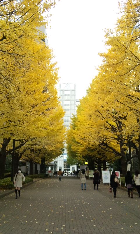 091127_1603~01.jpg