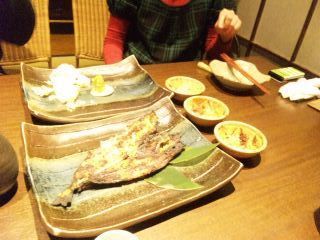 100201_1939~01.jpg
